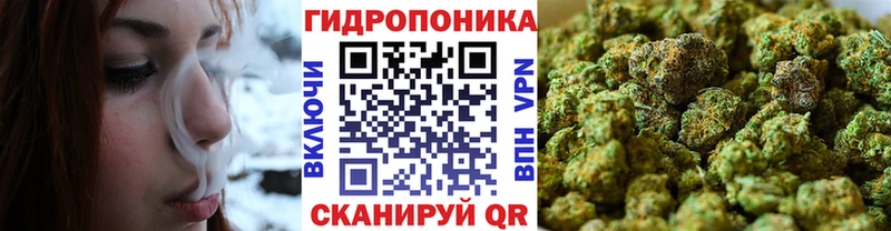 сайты даркнета какой сайт  Ржев  Бошки Шишки OG Kush 